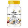 Vitamin B3 Flush Free 250 mg