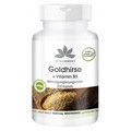 Goldhirse + Vitamin B5