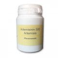 ARTEMISININ 500 Artemisia annua Pflanzenextr.Kaps.