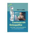 Craniosacrale Osteopathie in der Kinder- und Erwachsenenpraxis